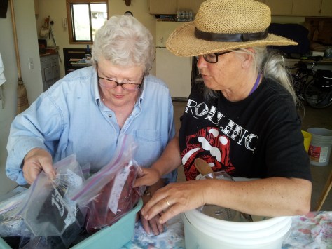 Each pie was placed in a plastic bag while it cured.